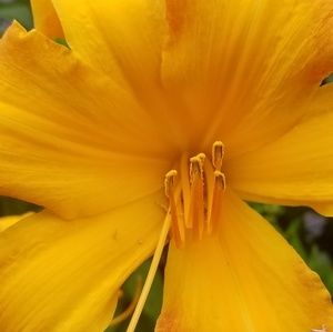 Meet your Posher, Linda